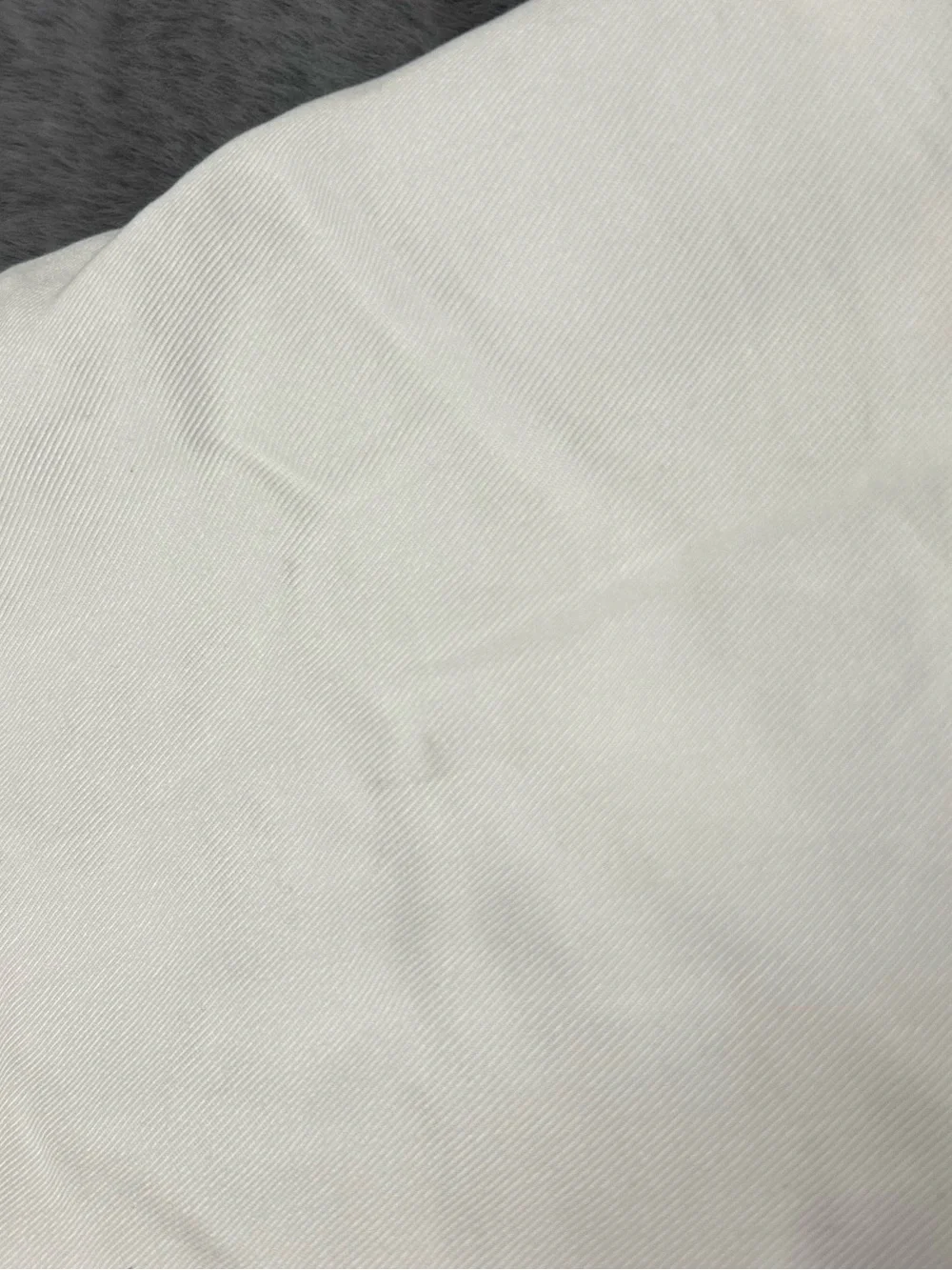 West Elm Brushed Tencel euro sham